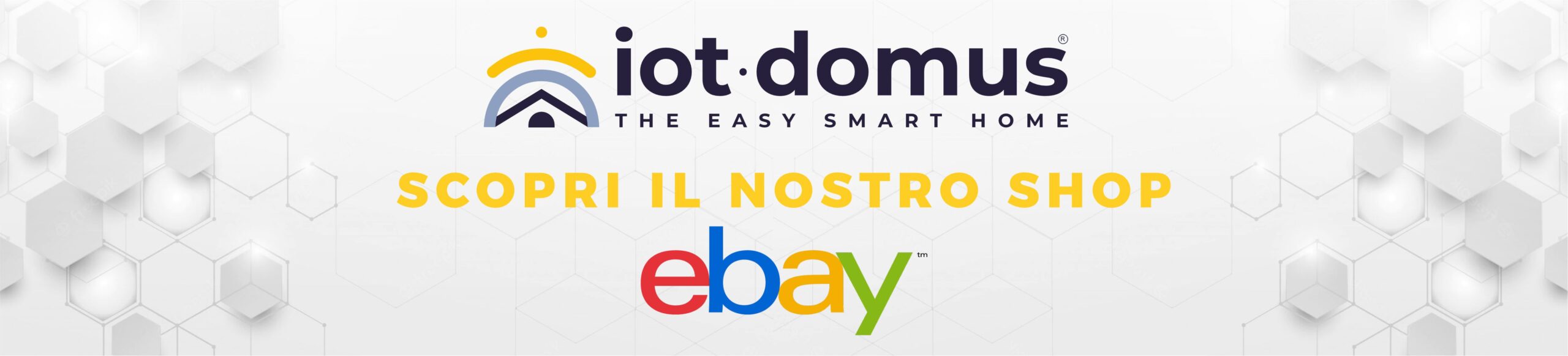 banner ebay iot domus roma